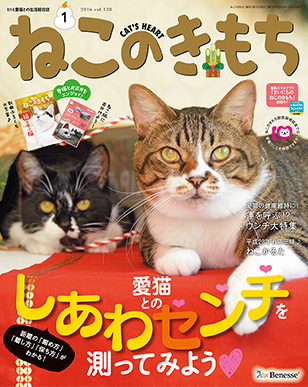 img_cat_cover